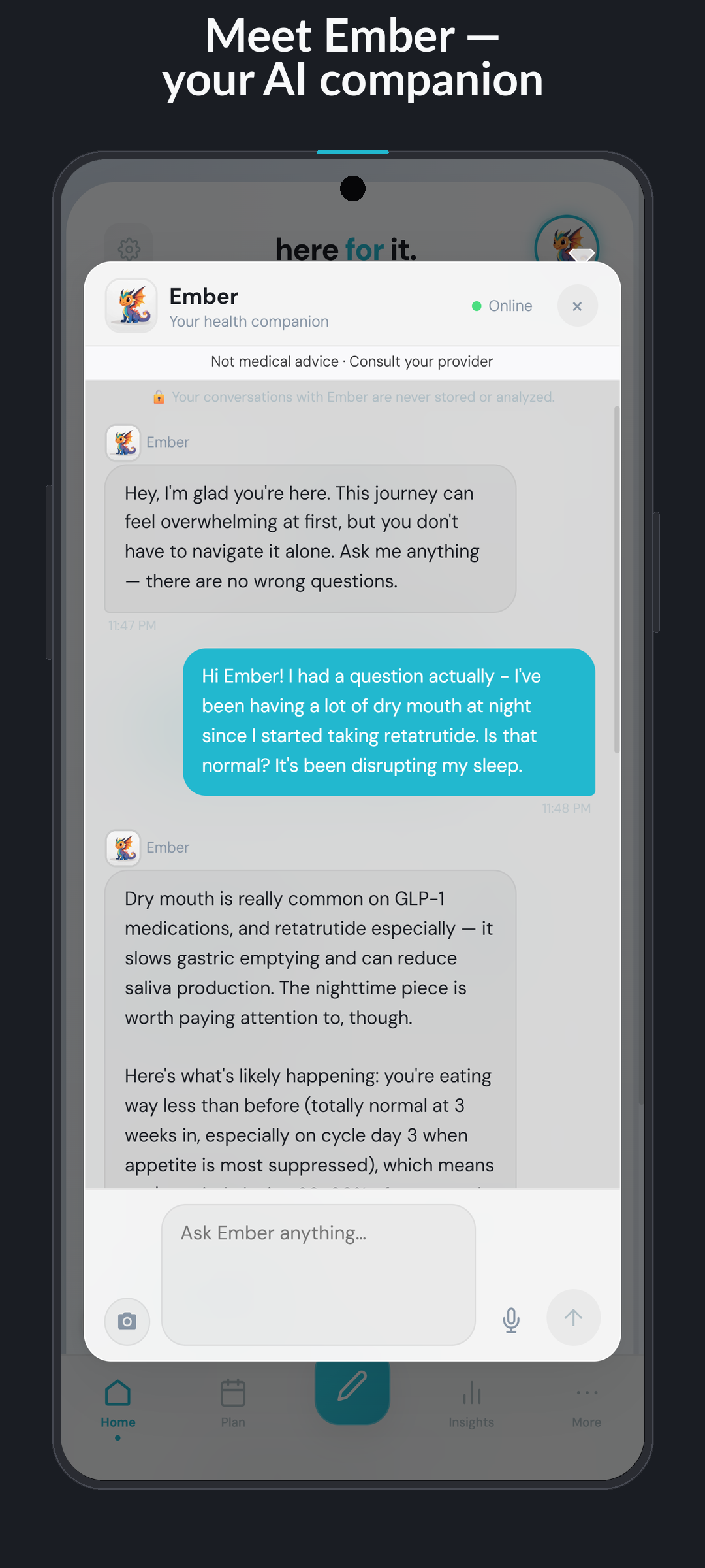 Ember AI chat in HereForIt